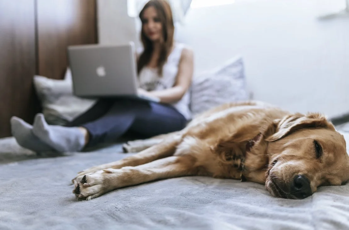 cool smart beds